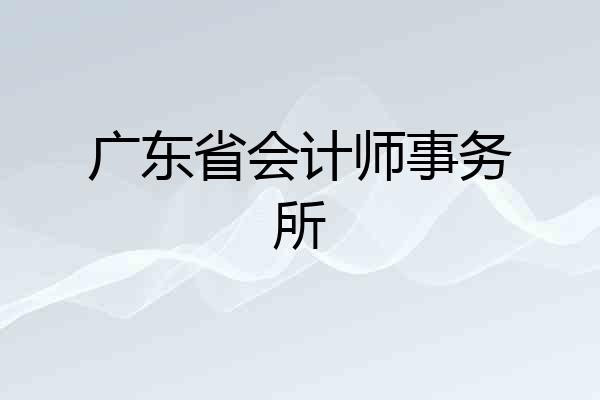 广东省会计师事务所