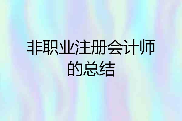 非职业注册会计师的总结