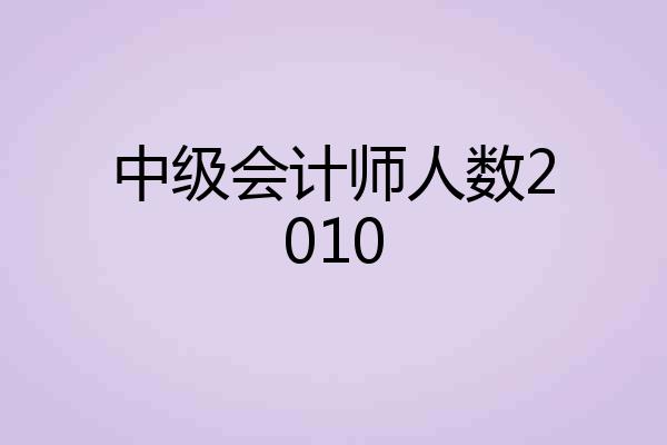 中级会计师人数2010