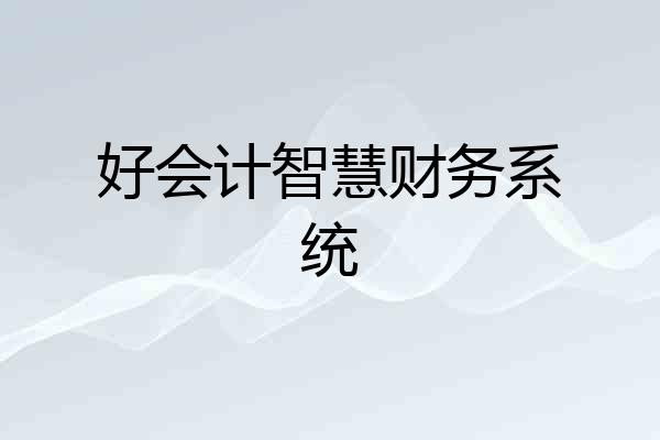 好会计智慧财务系统