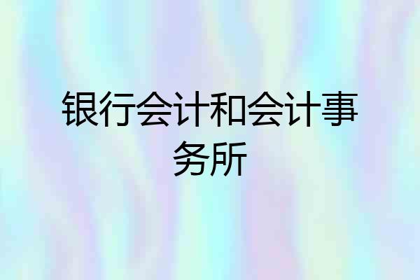 银行会计和会计事务所