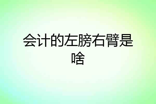 会计的左膀右臂是啥