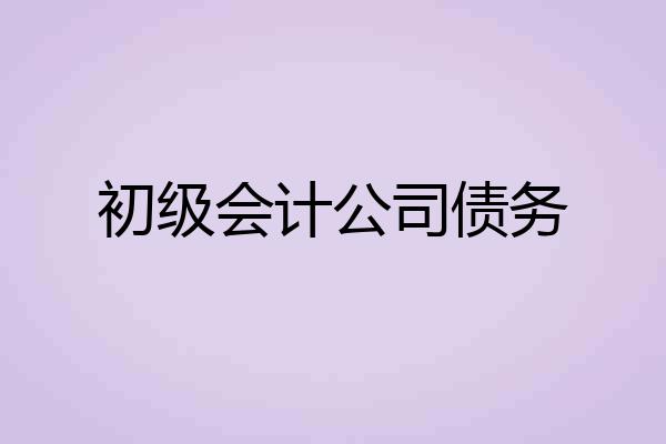 初级会计公司债务