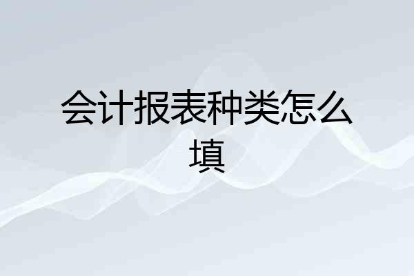 会计报表种类怎么填