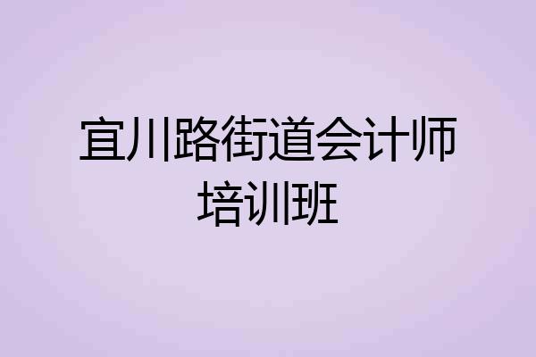 宜川路街道会计师培训班