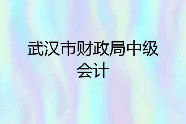武汉市财政局中级会计