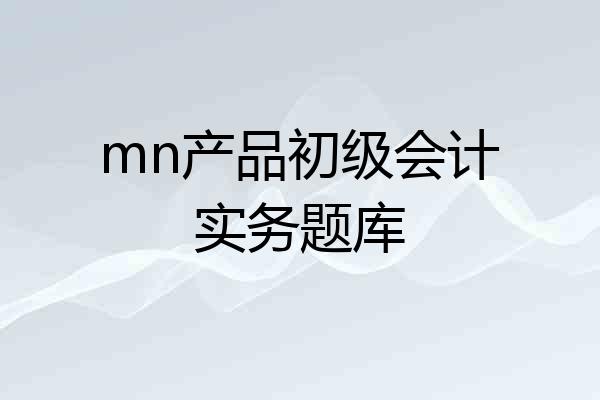 mn产品初级会计实务题库