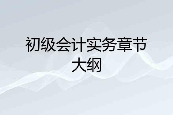 初级会计实务章节大纲