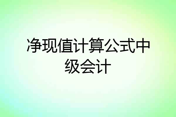 净现值计算公式中级会计