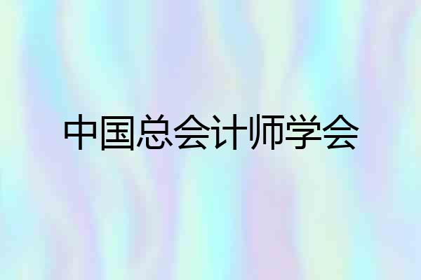 中国总会计师学会