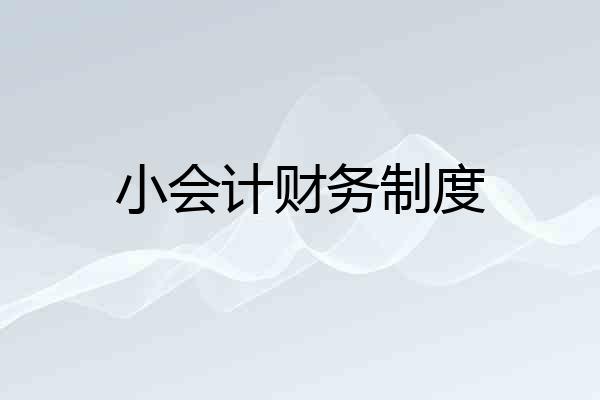 小会计财务制度