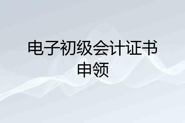 电子初级会计证书申领