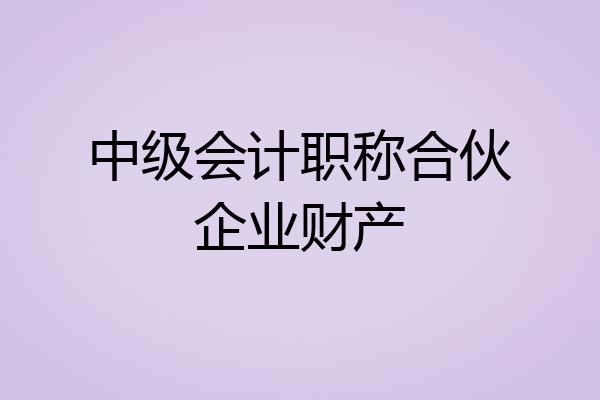 中级会计职称合伙企业财产