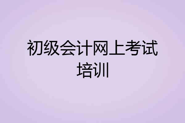 初级会计网上考试培训