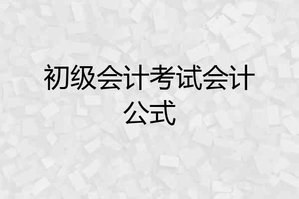 初级会计考试会计公式