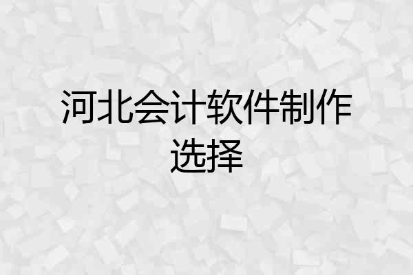 河北会计软件制作选择