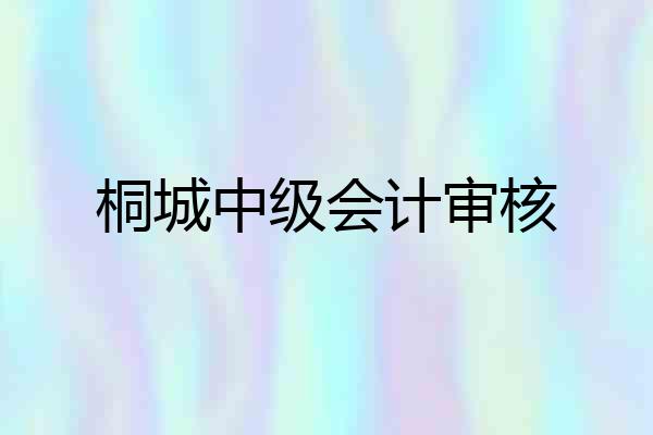桐城中级会计审核