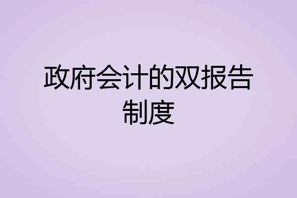 政府会计的双报告制度