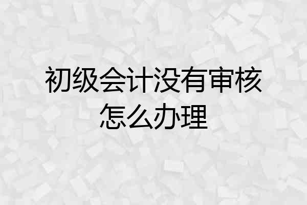 初级会计没有审核怎么办理