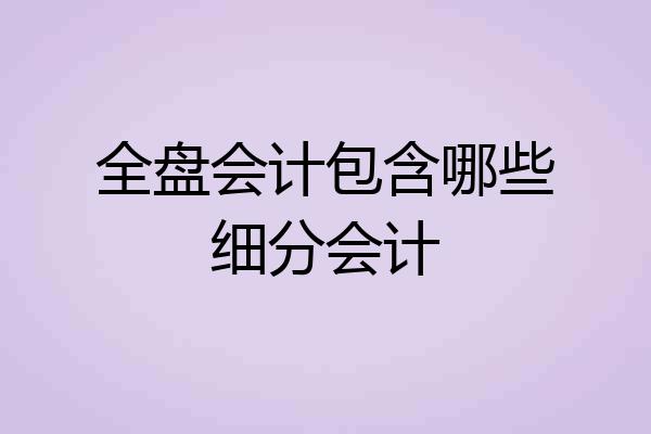 全盘会计包含哪些细分会计
