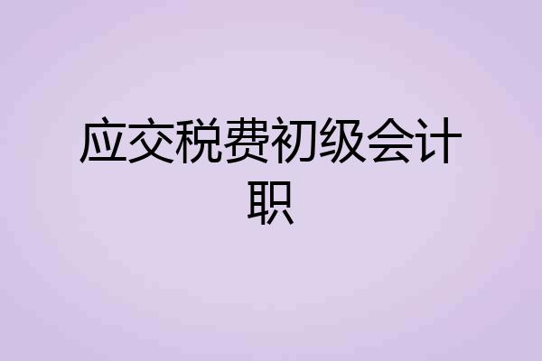 应交税费初级会计职