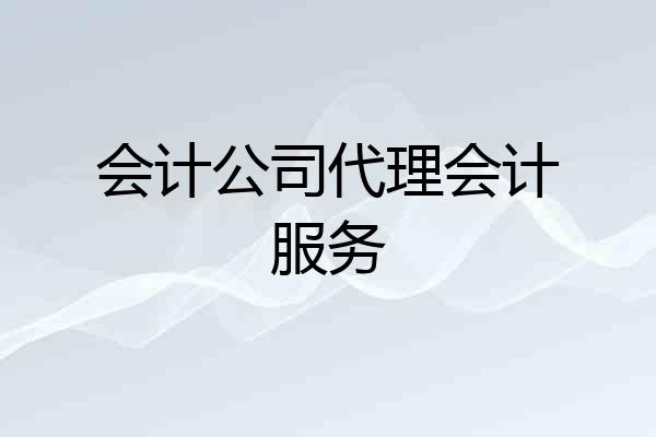 会计公司代理会计服务