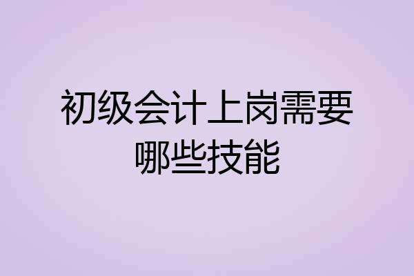 初级会计上岗需要哪些技能