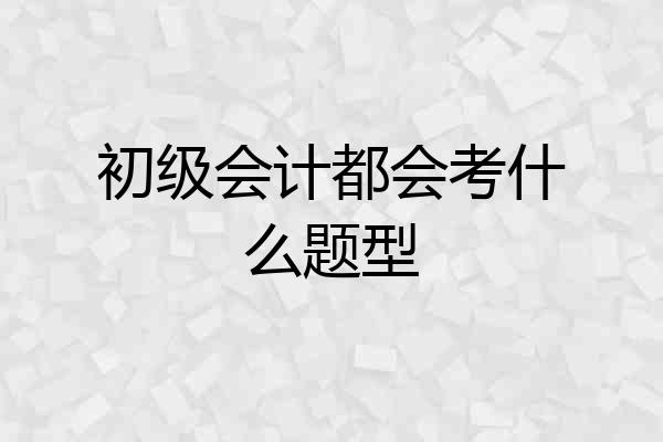 初级会计都会考什么题型