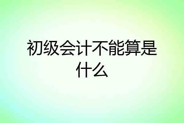初级会计不能算是什么