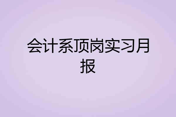 会计系顶岗实习月报