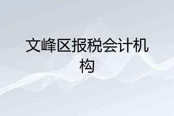 文峰区报税会计机构