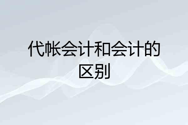 代帐会计和会计的区别