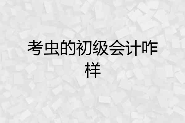 考虫的初级会计咋样