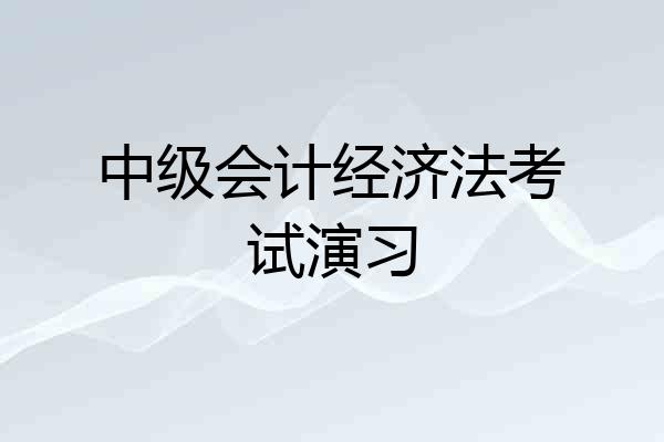 中级会计经济法考试演习