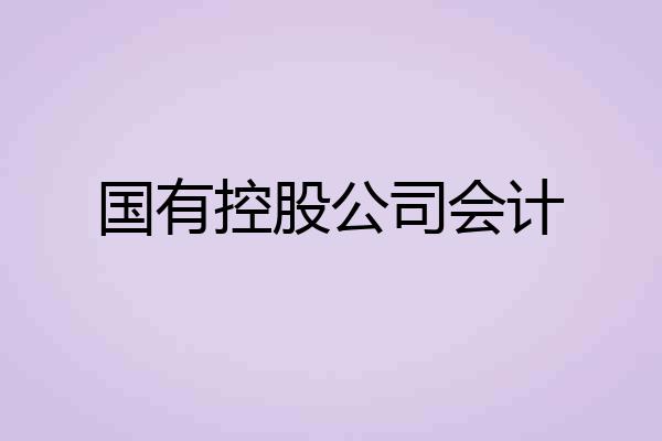 国有控股公司会计