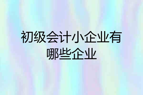 初级会计小企业有哪些企业