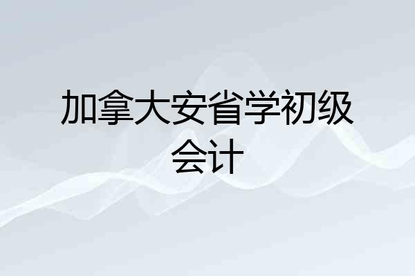 加拿大安省学初级会计