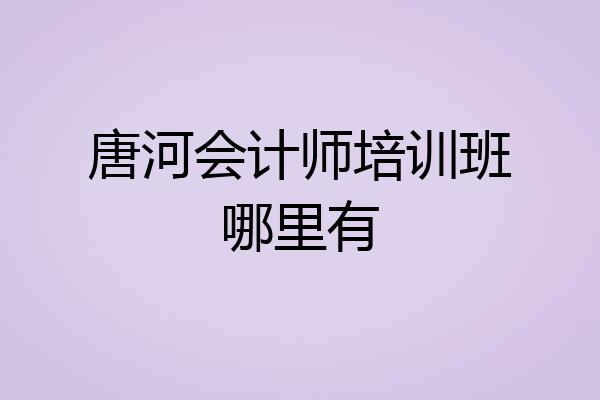 唐河会计师培训班哪里有