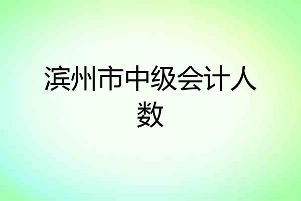 滨州市中级会计人数