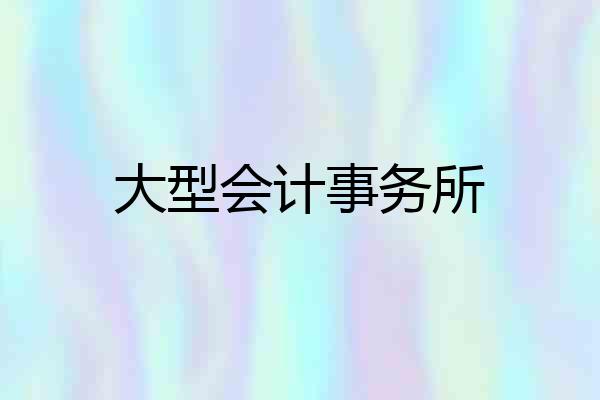 大型会计事务所