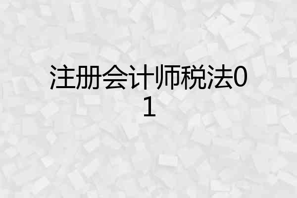 注册会计师税法01