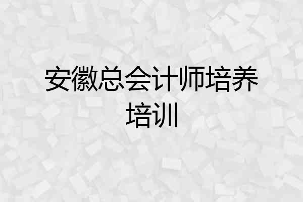 安徽总会计师培养培训