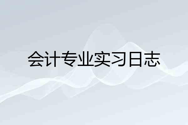 会计专业实习日志