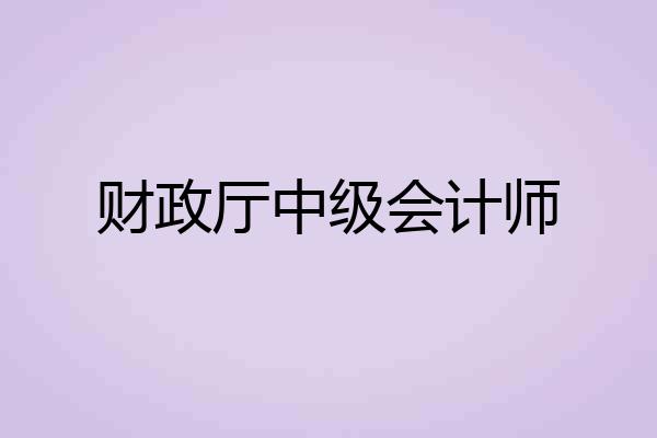 财政厅中级会计师