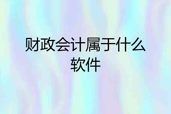 财政会计属于什么软件