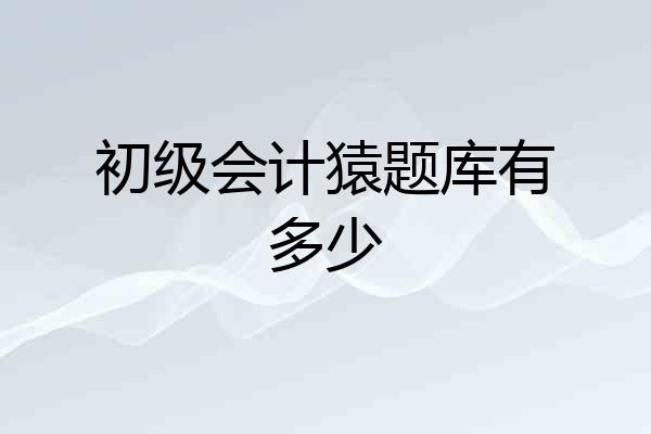 初级会计猿题库有多少
