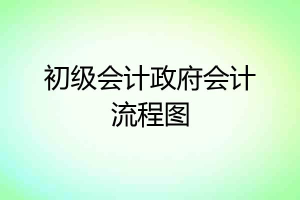 初级会计政府会计流程图