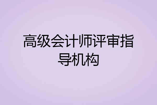 高级会计师评审指导机构
