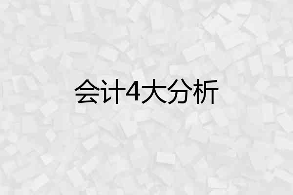 会计4大分析