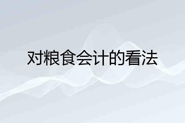 对粮食会计的看法